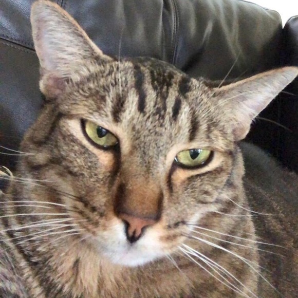 Meet your Posher, Haley - Picture 1 of 1